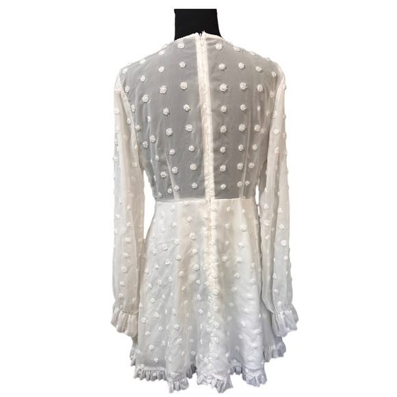 SBetro Swiss Dot Sheer Chiffon Skater Dress Size L - Picture 4 of 5